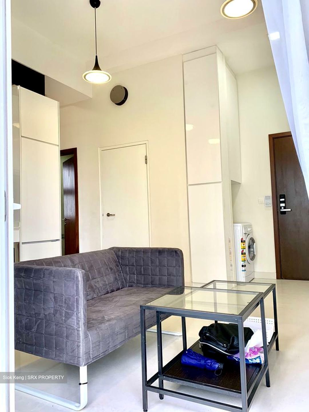8 Bassein (D11), Apartment #432846591